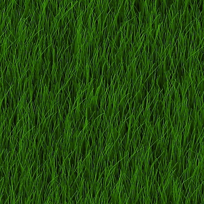 포토 JPG 해외이미지 백그라운드 바닥 잔디 사람없음 초록색 해외202004 해외202105 해외포토 식물 컬러 파일형식