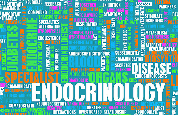 포토 JPG 해외이미지 직업 교육 백그라운드 컨셉 밭 추상 미래 건강 사람없음 치료 약 정보 오르간 시스템 당뇨병 호르몬 해외202004 해외202105 해외포토 무늬 농업 의학 건반악기 질병 파일형식