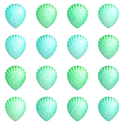 포토 JPG 해외이미지 디자인 바다 백그라운드 패턴 자연 조개 주택 갑각류 어류 미술 해변 사람없음 물 세계 수중 껍질 흰색 그룹 변화 질감 가리비 리빙 고립 넘어짐 앵무조개 테마 많음 해외202004 해외202105 해외포토 자연요소 동물 컬러 컨셉 무늬 모션 문화예술 어패류 건물 수중동물 생태계 파일형식