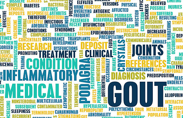 포토 JPG 해외이미지 컨셉 신체 일러스트 해부 뼈 건강 사람 사람없음 치료 약 고통 오르간 질병 고장 부식 예방 결정체 연골 염증 정형외과 증상 해외202004 해외202105 해외포토 감정 의학 병원 건반악기 파일형식