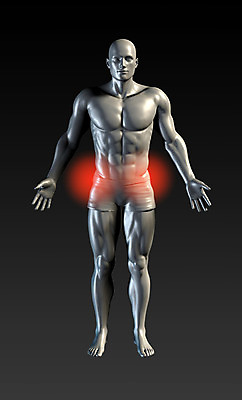 포토 JPG 해외이미지 남자 스포츠 신체 해부 근육 엑스레이 건강 병원 사람 사람없음 치료 빨간색 빛 세트 고통 정보 질병 엉덩이 수집 관절염 관절 지역 광 물리치료 방사선 정형외과 조언 치유 시리즈 해외202004 해외202105 해외포토 감정 컬러 의학 뼈 신체부위 파일형식