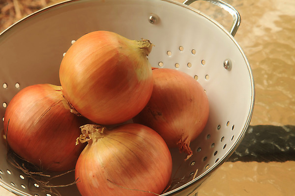 포토 JPG 해외이미지 식물 음식 채소 오렌지 재료 자연 탁자 양파 주택 건강 요리 사람없음 목재 빨간색 빛 갈색 노란색 주방 수확 흰색 시골 신선 원형 그룹 사발 황금 먹기 오브젝트 에코 유기농 날것 레시피 내추럴 수목 숙성 채식주의자 해외202004 해외202105 해외포토 도형 나무 웰빙 컬러 가구 농업 과일 모션 건물 환경 사기그릇 생태계 채식 파일형식