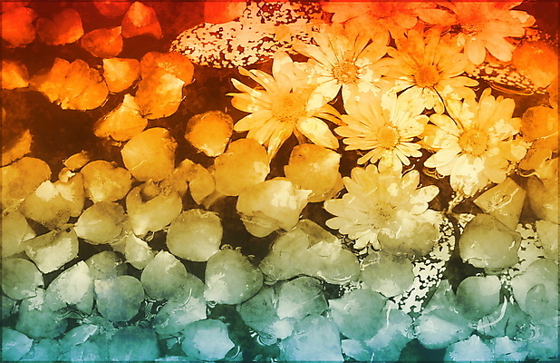 포토 JPG 해외이미지 꽃 아시아 선 백그라운드 꽃무늬 일러스트 자연 추상 연꽃 동양인 사람없음 물 유행 스파 화목 침묵 고요 수확 마사지 우아함 백합 명상 그림 내추럴 구식 그런지 옛날 테마 해외202004 해외202105 해외포토 자연요소 식물 나라 컨셉 무늬 농업 인종 소리 생태계 파일형식