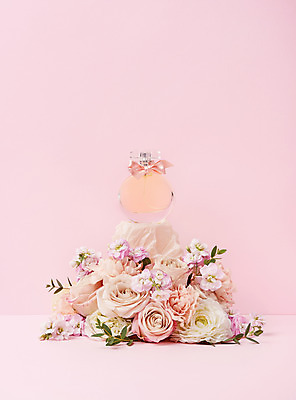 포토 JPG 스튜디오촬영 기념일 꽃 실내 사람없음 장미 축하 향수 감사 5월행사 성년의날 향수병 분홍색배경 국내포토 식물 감정 분홍색 백그라운드 컨셉 이벤트 내부 화장품 5월 병_담는 파일형식