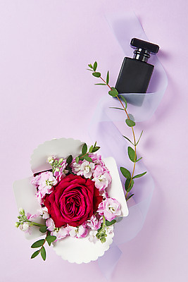 포토 JPG 스튜디오촬영 기념일 꽃 리본 잎 실내 사람없음 선물상자 하이앵글 축하 향수 감사 5월행사 보라색배경 성년의날 향수병 플랫레이 국내포토 식물 감정 뷰포인트 백그라운드 컨셉 선물 이벤트 내부 상자 보라색 화장품 플랫 5월 병_담는 파일형식