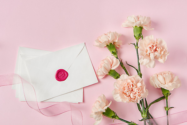 포토 JPG 스튜디오촬영 기념일 리본 편지봉투 실내 사람없음 하이앵글 축하 어버이날 스승의날 카네이션 감사 5월행사 플랫레이 분홍색배경 국내포토 꽃 감정 뷰포인트 분홍색 백그라운드 컨셉 봉투 이벤트 내부 플랫 5월 편지 파일형식