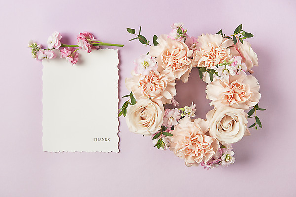 포토 JPG 스튜디오촬영 기념일 꽃 실내 사람없음 하이앵글 장미 축하 어버이날 스승의날 편지지 감사 5월행사 리스장식 보라색배경 플랫레이 국내포토 식물 감정 뷰포인트 백그라운드 컨셉 이벤트 내부 장식 보라색 플랫 5월 편지 파일형식