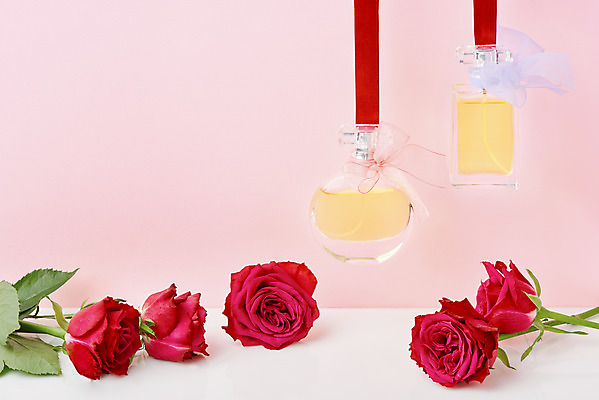 포토 JPG 스튜디오촬영 기념일 리본 실내 매달리기 사람없음 장미 축하 향수 감사 5월행사 성년의날 향수병 분홍색배경 국내포토 꽃 감정 분홍색 백그라운드 컨셉 모션 이벤트 내부 화장품 5월 병_담는 파일형식