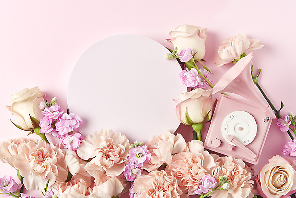 포토 JPG 스튜디오촬영 기념일 꽃 실내 사람없음 하이앵글 장미 축하 어버이날 스승의날 카네이션 감사 5월행사 축음기 원형프레임 분홍색배경 국내포토 식물 감정 뷰포인트 분홍색 음향기기 백그라운드 컨셉 프레임 이벤트 내부 골동품 원형 5월 파일형식