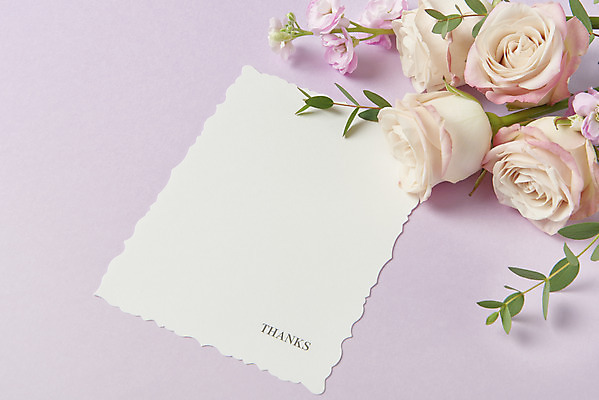 포토 JPG 스튜디오촬영 기념일 잎 프레임 실내 사람없음 장미 축하 어버이날 스승의날 편지지 감사 5월행사 보라색배경 성년의날 국내포토 식물 꽃 감정 백그라운드 컨셉 이벤트 내부 보라색 5월 편지 파일형식