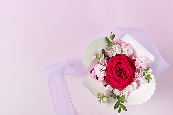 포토 JPG 스튜디오촬영 기념일 꽃 리본 잎 실내 사람없음 선물상자 하이앵글 장미 축하 어버이날 스승의날 감사 5월행사 보라색배경 성년의날 플랫레이 국내포토 식물 감정 뷰포인트 백그라운드 컨셉 선물 이벤트 내부 상자 보라색 플랫 5월 파일형식