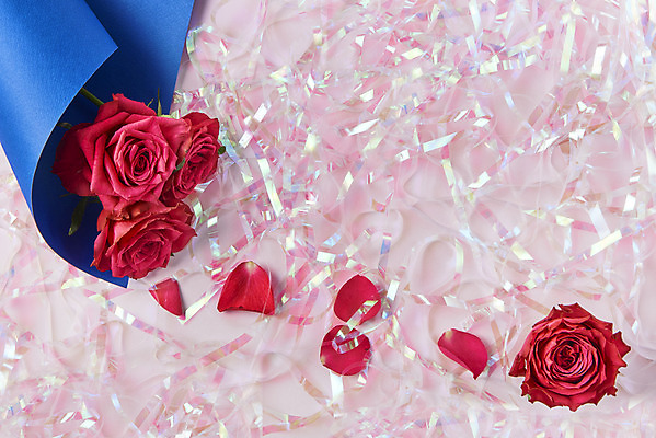 포토 JPG 스튜디오촬영 기념일 꽃잎 실내 사람없음 반짝임 하이앵글 장미 축하 어버이날 스승의날 감사 5월행사 성년의날 분홍색배경 국내포토 꽃 감정 뷰포인트 분홍색 백그라운드 컨셉 모션 이벤트 내부 5월 파일형식