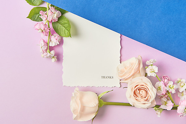 포토 JPG 스튜디오촬영 기념일 꽃 실내 사람없음 파란색 하이앵글 장미 축하 어버이날 스승의날 편지지 감사 5월행사 성년의날 분홍색배경 국내포토 식물 감정 뷰포인트 분홍색 컬러 백그라운드 컨셉 이벤트 내부 5월 편지 파일형식