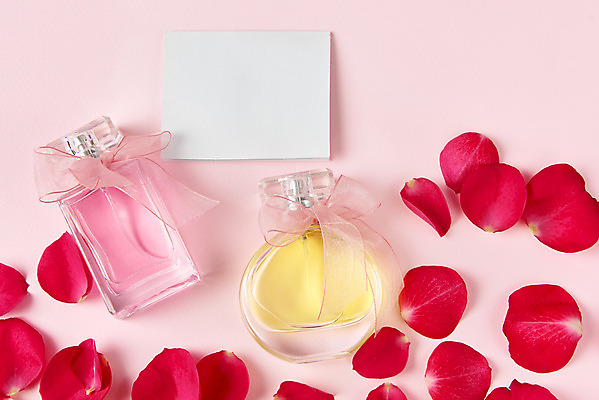 포토 JPG 스튜디오촬영 기념일 꽃잎 리본 실내 사람없음 하이앵글 축하 향수 편지지 감사 5월행사 성년의날 향수병 플랫레이 분홍색배경 국내포토 카드프레임 꽃 감정 뷰포인트 분홍색 백그라운드 컨셉 프레임 이벤트 내부 화장품 플랫 5월 편지 병_담는 파일형식