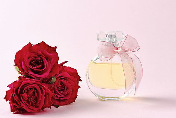 포토 JPG 스튜디오촬영 기념일 리본 실내 사람없음 장미 축하 향수 감사 5월행사 성년의날 향수병 분홍색배경 국내포토 꽃 감정 분홍색 백그라운드 컨셉 이벤트 내부 화장품 5월 병_담는 파일형식