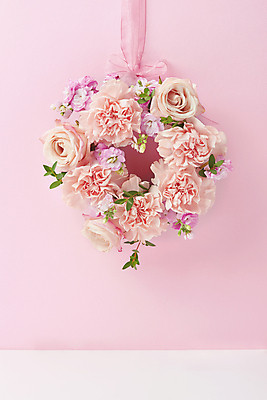 포토 JPG 스튜디오촬영 기념일 꽃 리본 실내 매달리기 사람없음 장미 축하 어버이날 스승의날 카네이션 감사 5월행사 리스장식 성년의날 분홍색배경 국내포토 식물 감정 분홍색 백그라운드 컨셉 모션 이벤트 내부 장식 5월 파일형식