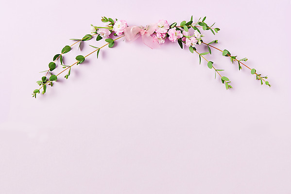 포토 JPG 스튜디오촬영 기념일 꽃 리본 잎 실내 사람없음 하이앵글 축하 어버이날 스승의날 감사 5월행사 보라색배경 국내포토 식물 감정 뷰포인트 백그라운드 컨셉 이벤트 내부 보라색 5월 파일형식