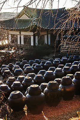 포토 JPG 주간 한국전통 한옥 풍경 사람없음 야외 나뭇가지 항아리 충청남도 논산 국내여행 국내포토 자연요소 나무 전통 여행 고건축 한국 도자기 충청도 파일형식