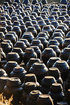 포토 JPG 주간 한국전통 한옥 사람없음 야외 항아리 충청남도 가득함 일렬 논산 국내포토 자연요소 전통 고건축 한국 도자기 충청도 파일형식