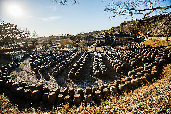 포토 JPG 주간 한국전통 한옥 풍경 사람없음 야외 햇빛 나뭇가지 항아리 충청남도 논산 국내여행 국내포토 자연요소 나무 전통 여행 고건축 한국 태양 도자기 충청도 파일형식