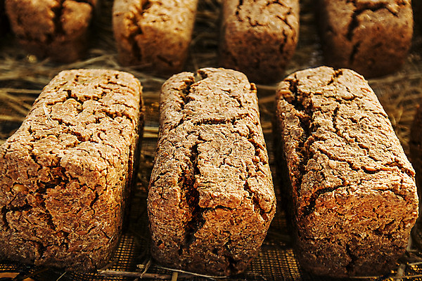 포토 JPG 주간 한국전통 사람없음 야외 된장 충청남도 발효 메주 발효음식 논산 국내포토 자연요소 전통 음식 한국 양념 충청도 파일형식