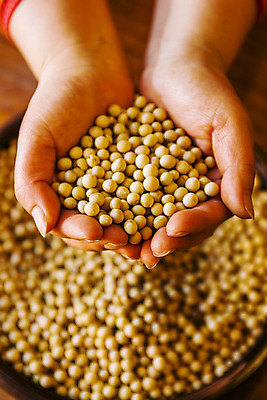 포토 JPG 한국전통 손 식재료 콩 실내 들기 아웃포커스 신체부위 손모으기 국내포토 전통 모션 곡류 한국 촬영기법 사람 손짓 내부 파일형식