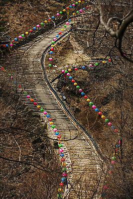 포토 JPG 주간 한국전통 산 풍경 사람없음 야외 계단 나뭇가지 사찰 경상북도 연등 국내여행 봉화 국내포토 자연요소 나무 전통 여행 종교건축 한국 등불 경상도 불교용품 파일형식