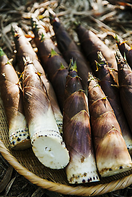 포토 JPG 주간 사람없음 야외 소쿠리 전라남도 특산물 죽순 담양 국내포토 자연요소 바구니 전라도 파일형식