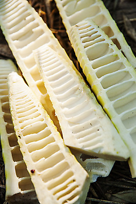 포토 JPG 주간 단면 사람없음 야외 전라남도 특산물 슬라이스 죽순 담양 국내포토 자연요소 전라도 파일형식