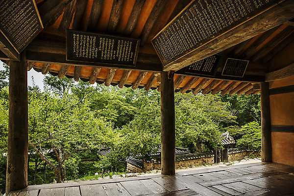 포토 JPG 주간 나무 사람없음 문화재 전라남도 담양 소쇄원 현판 기와담장 국내포토 자연요소 식물 기와 담장 전라도 명승지 파일형식