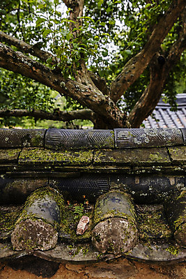 포토 JPG 주간 나무 사람없음 야외 문화재 전라남도 담양 소쇄원 기와담장 국내포토 자연요소 식물 기와 담장 전라도 명승지 파일형식