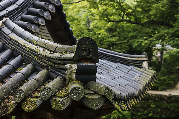 포토 JPG 주간 사람없음 야외 문화재 전라남도 기와지붕 담양 소쇄원 망와 국내포토 자연요소 지붕 기와 전라도 명승지 파일형식