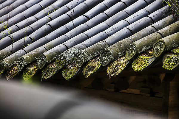 포토 JPG 주간 기와 사람없음 야외 문화재 소프트포커스 전라남도 기와지붕 담양 소쇄원 국내포토 자연요소 지붕 촬영기법 전라도 명승지 파일형식