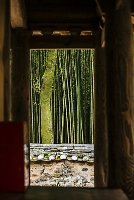 포토 JPG 주간 나무 사람없음 문화재 전라남도 대나무 담양 소쇄원 기와담장 국내포토 자연요소 식물 기와 담장 전라도 명승지 파일형식