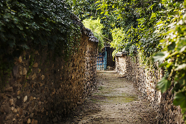 포토 JPG 식물 사람없음 전라남도 담양 흙길 흙담 국내포토 길 담장 흙 전라도 파일형식