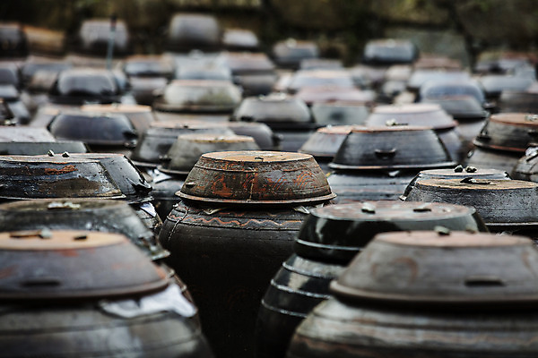 포토 JPG 주간 사람없음 야외 아웃포커스 항아리 전라남도 담양 국내포토 자연요소 촬영기법 도자기 전라도 파일형식