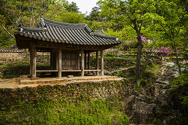 포토 JPG 주간 나무 고건축 사람없음 야외 전라남도 정자 담양 소쇄원 국내포토 자연요소 식물 건축물 전라도 명승지 파일형식