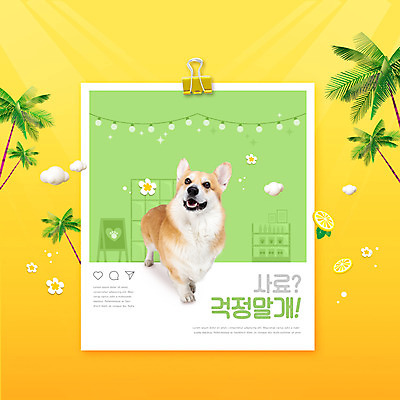 PSD 구름 편집이미지 한마리 꽃 타이포그라피 사람없음 반려동물 야자수 노란색 강아지 레몬 개사료 반려 소셜네트워크 웰시코기 이미지편집 자연요소 나무 식물 동물 문자 1 컬러 과일 개 먹이 파일형식
