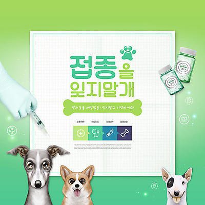 PSD 편집이미지 손 주사기 들기 타이포그라피 신체부위 초록색 반려동물 알약 강아지 약병 불테리어 개발바닥 반려 예방접종 웰시코기 그레이하운드 이미지편집 동물 문자 컬러 의료기기 모션 사람 약 개 테리어 발바닥 하운드 접종 병_담는 파일형식