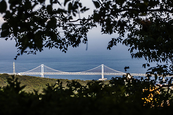 포토 JPG 주간 바다 풍경 사람없음 야외 부산 광안대교 국내포토 자연요소 한국 다리_건축물 파일형식