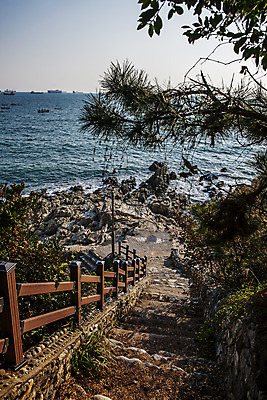 포토 JPG 주간 바다 풍경 사람없음 야외 계단 바위 소나무 부산 나무울타리 영도 국내포토 자연요소 나무 한국 울타리 돌_바위 파일형식