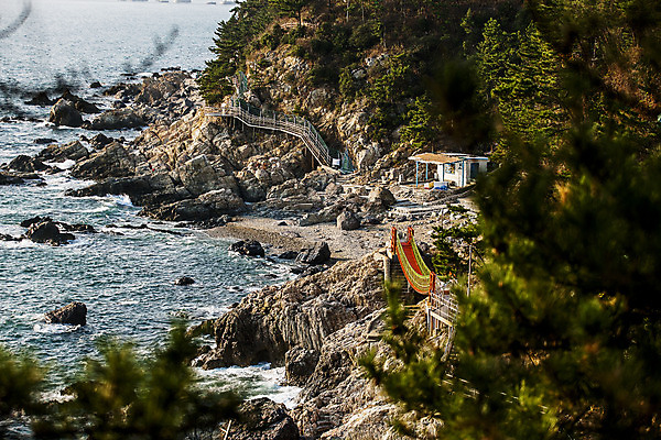포토 JPG 주간 나무 바다 풍경 사람없음 야외 건물 계단 부산 영도 국내포토 자연요소 식물 건축물 한국 파일형식