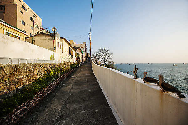포토 JPG 주간 길 바다 하늘 풍경 사람없음 야외 장식 담장 부산 새모양 영도 국내포토 자연요소 모양 한국 파일형식