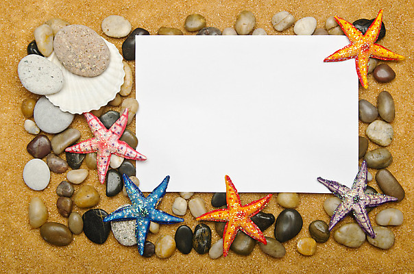 포토 JPG 해외이미지 디자인 별 모래 바다 여행 백그라운드 컨셉 패턴 자연 휴가 조개 불가사리 연체동물 해변 사람없음 야외 물 여름 컬러풀 우주 공백 껍질 조약돌 흰색 메시지 산호 수집 질감 달팽이 수족관 내추럴 고립 앵무조개 이국적 파라다이스 해외202004 해외202105 해외포토 자연요소 계절 컬러 무늬 어패류 극피동물 무척추동물 돌_바위 자포동물 생태계 파일형식