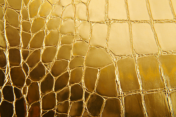 포토 JPG 해외이미지 동물 백그라운드 패턴 파충류 추상 사람없음 빛 덮개 흰색 직물 지갑 황금 닫기 가죽 천 피부 질감 눈금 땀 정사각형 악어 니스 진짜 해외202004 해외202105 해외포토 도형 컬러 무늬 모션 신체부위 뚜껑 파일형식