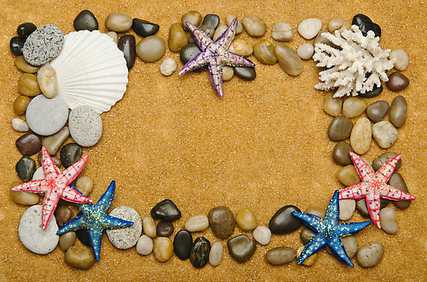 포토 JPG 해외이미지 디자인 별 모래 바다 여행 백그라운드 컨셉 패턴 자연 휴가 조개 불가사리 연체동물 해변 사람없음 야외 물 여름 컬러풀 우주 공백 껍질 조약돌 흰색 메시지 산호 수집 질감 달팽이 수족관 내추럴 고립 앵무조개 이국적 파라다이스 해외202004 해외202105 해외포토 자연요소 계절 컬러 무늬 어패류 극피동물 무척추동물 돌_바위 자포동물 생태계 파일형식