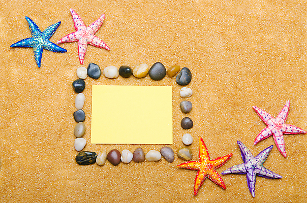 포토 JPG 해외이미지 디자인 포스터 별 모래 바다 여행 백그라운드 컨셉 패턴 자연 휴가 조개 불가사리 연체동물 해변 사람없음 야외 물 여름 컬러풀 우주 쪽지 공백 껍질 조약돌 흰색 메시지 산호 수집 질감 달팽이 수족관 내추럴 고립 앵무조개 이국적 파라다이스 카피스페이스 해외202004 해외202105 해외포토 자연요소 계절 컬러 무늬 어패류 극피동물 무척추동물 돌_바위 자포동물 생태계 파일형식