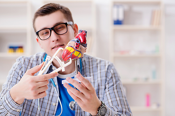 포토 JPG 해외이미지 모델 학생 교육 과학 해부 교실 수업 건강 병원 사람없음 학습 약 강사 교사 시험 의사 하트 심장 도움 맥박 질병 강의 측정 대학교 외과 돌봄 심장병 인턴 치료사 캘리퍼스 연습생 해외202105 해외포토 모양 직업 컨셉 비즈니스 의학 학교 모션 의료진 공구 장기_의학 연습 파일형식