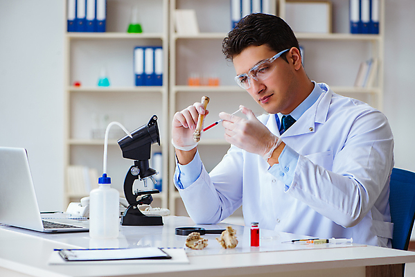 포토 JPG 해외이미지 동물 응시 과학 유적 파충류 뼈 골격 현미경 실험 주사기 사람 사람없음 의사 기구 역사 실험실 보호 연구원 모험가 과학자 분석 공룡 화석 고생물 멸종 선사시대 발견 고고학 옛날 자취 해외202105 해외포토 직업 전통 시선 교육 컨셉 의료기기 생물 실험기구 의료진 학자 파일형식