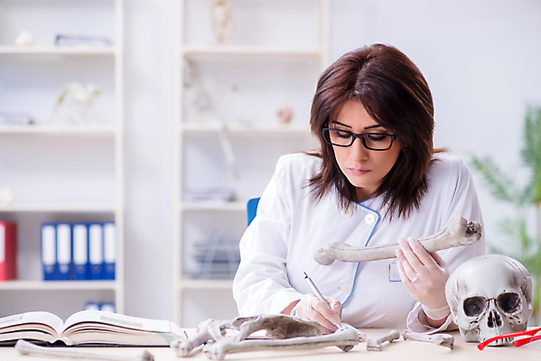 포토 JPG 해외이미지 교육 과학 유적 해부 뼈 골격 병원 실험 사람 사람없음 강사 의사 기록 역사 실험실 연구원 과학자 분석 보고서 고생물 보여주기 선사시대 발견 고고학 옛날 해골모형 해외202105 해외포토 직업 전통 컨셉 의학 모션 생물 모형 의료진 학자 파일형식